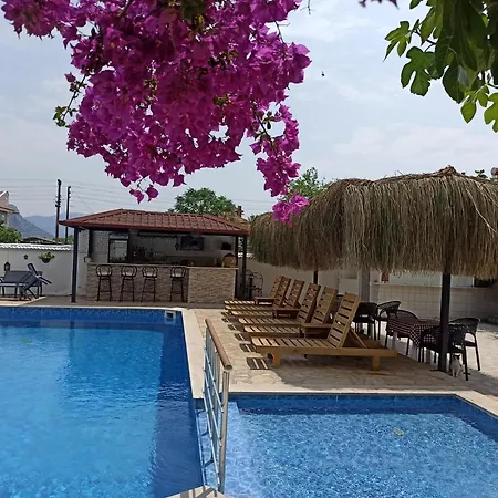Isil Dalyan