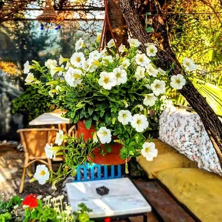 Aparthotel Isil Dalyan